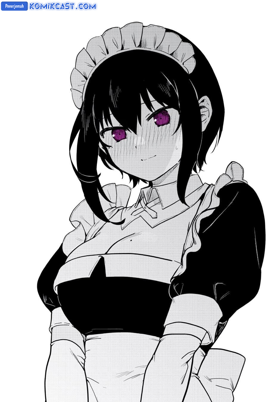 My Recently Hired Maid Is Suspicious (Serialization)